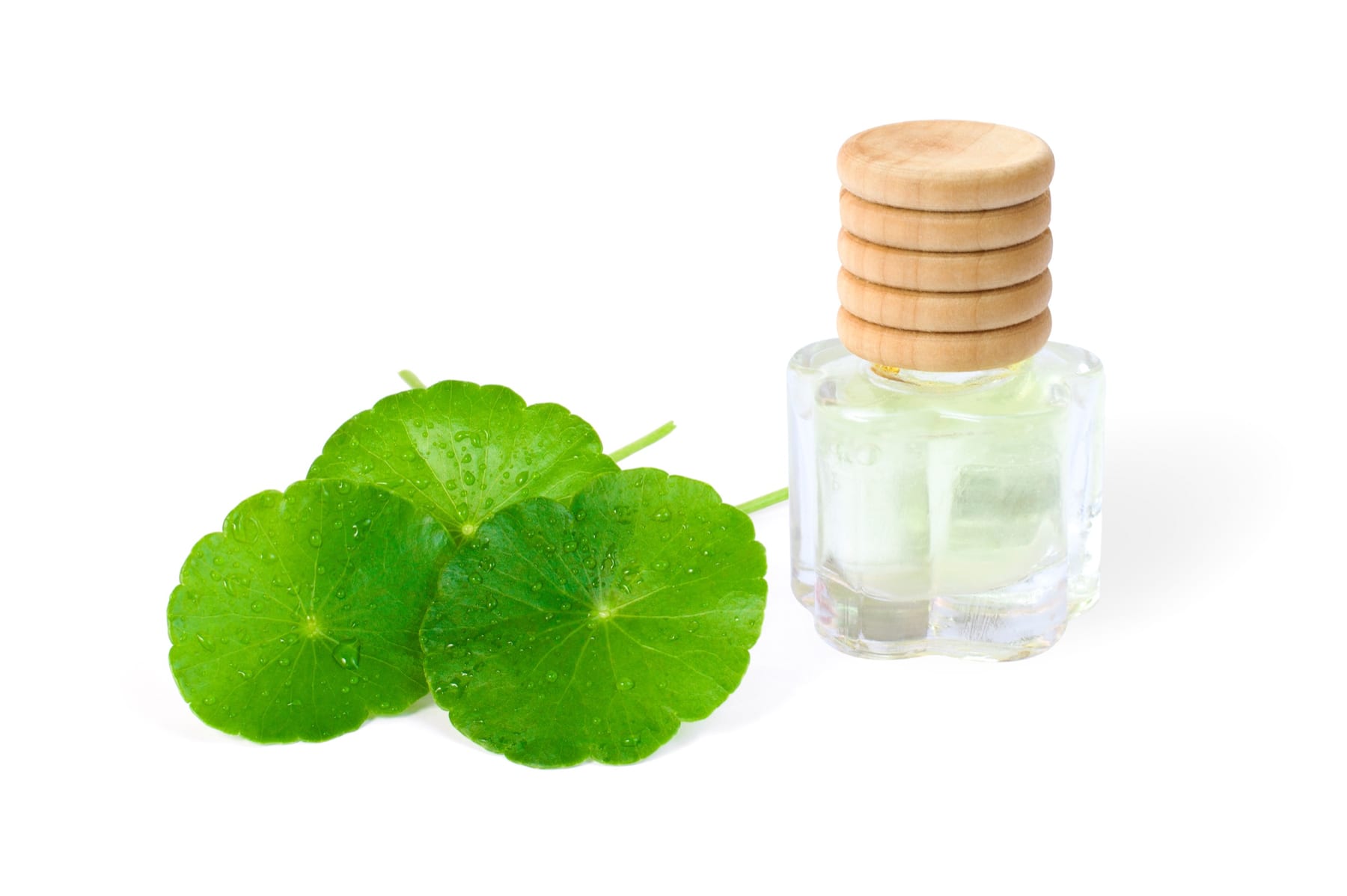 Ayurveda for April: spring allergies, CCF tea, and how a grapefruit breakfast helps Kapha